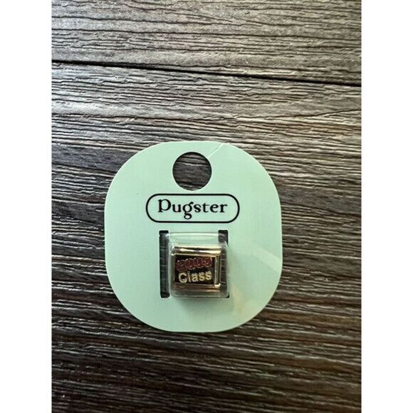 New In Package Pugster Italian Class 2005 Charm 9mm Bracelet Link - Picture 1 of 1